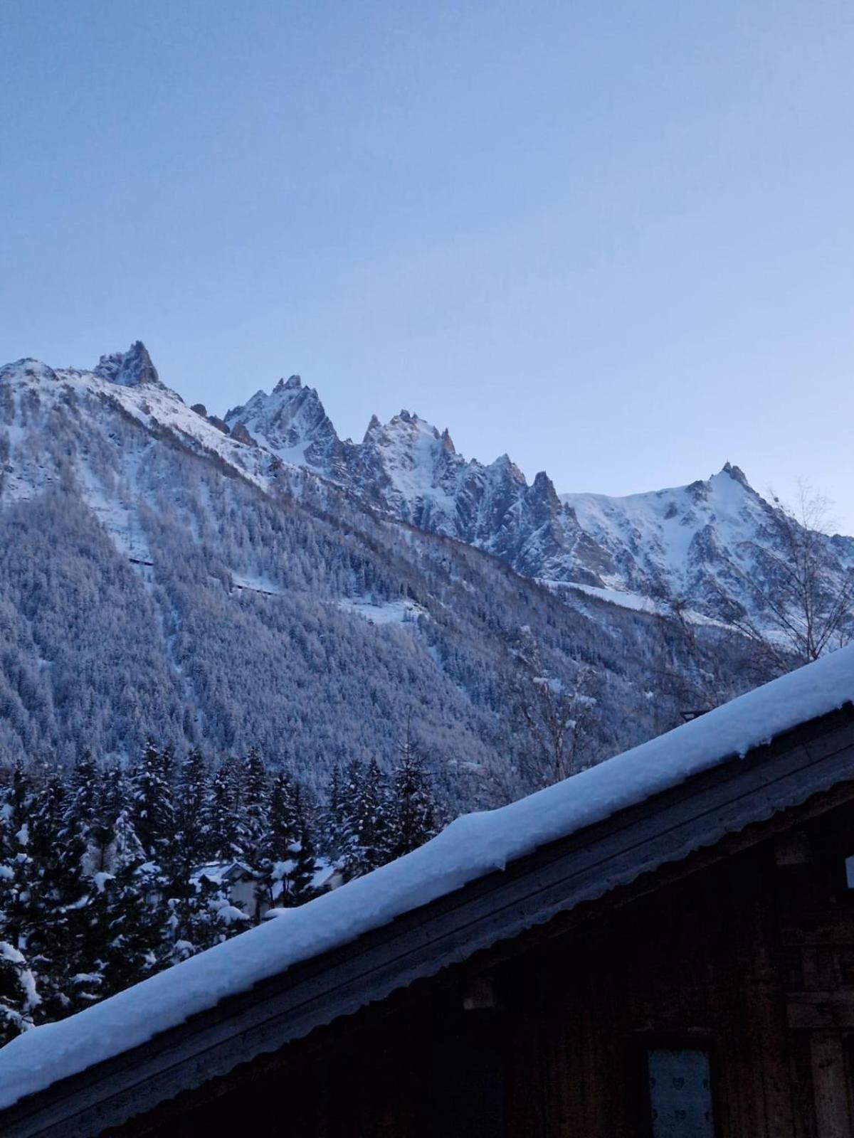 Appartement Ensoleille Aux Tines, Vue Massif Chamonix Kültér fotó